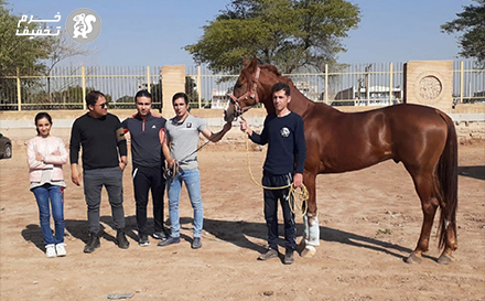 آکادمی اسب سواری آراسب رو ببین چه کرده !!!